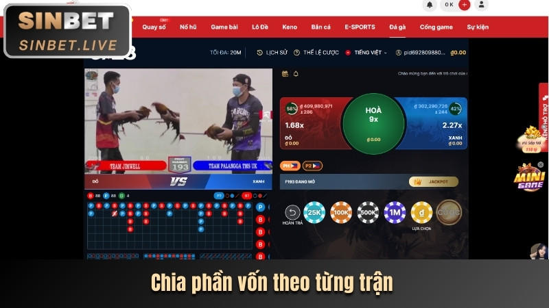 chia phan von theo tung tran