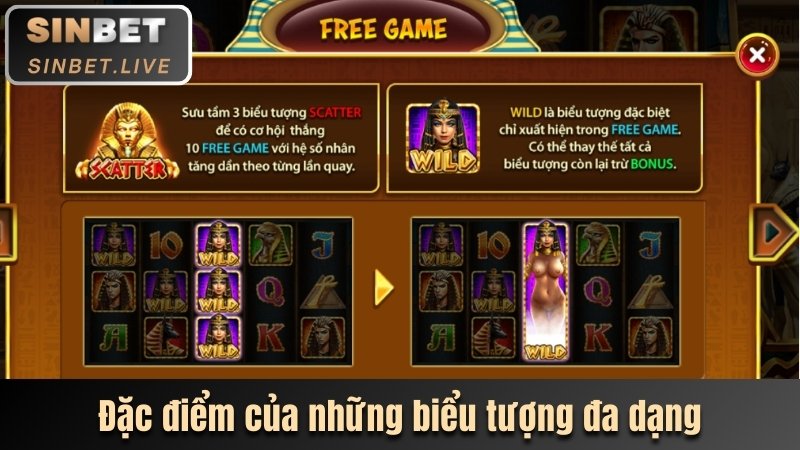 dac diem cua nhung bieu tuong da dang