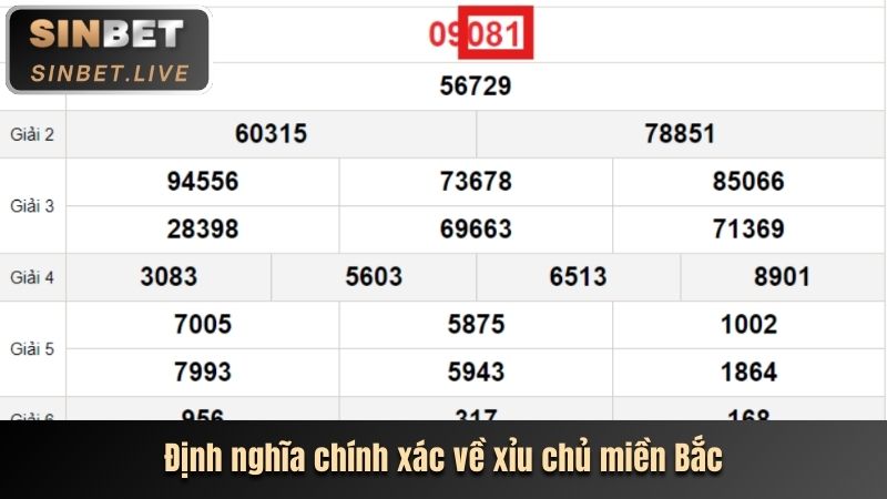 dinh nghia chinh xac ve xiu chu mien bac
