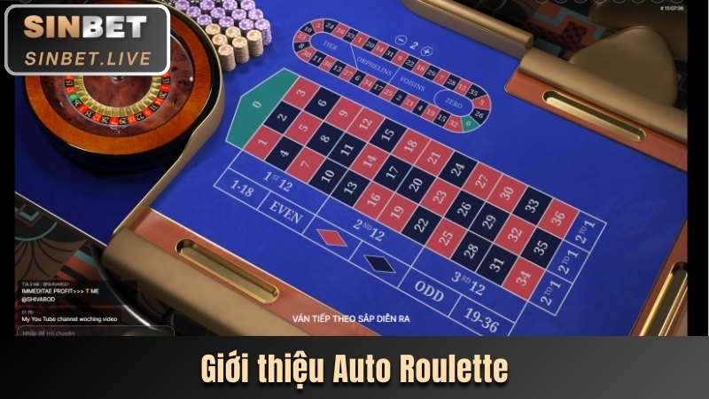 gioi thieu auto roulette