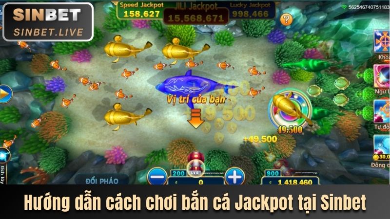 huong dan cach choi ban ca jackpot tai sinbet