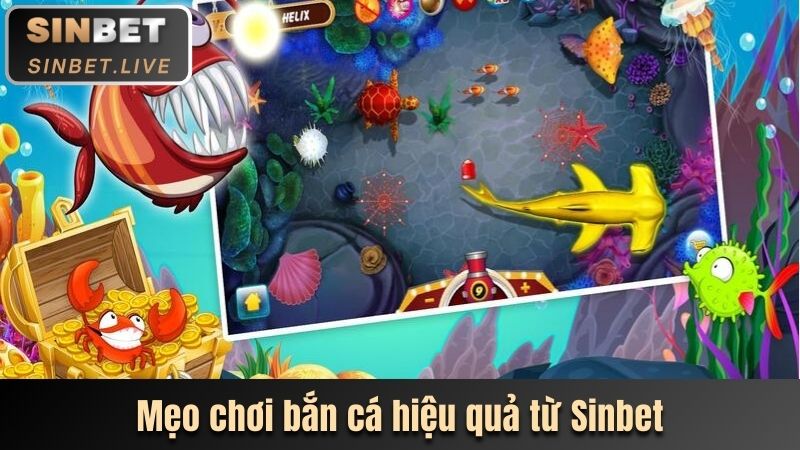 meo choi ban ca hieu qua tu sinbet