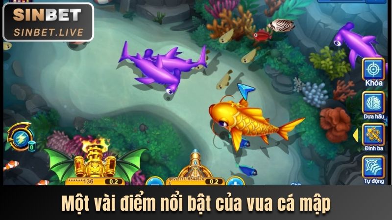 mot vai diem noi bat cua vua ca map