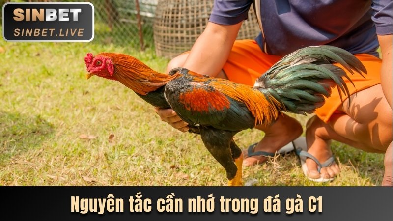 nguyen tac can nho trong da ga c1